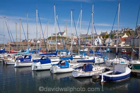 Banffshire;boat;boats;Britain;British-Isles;calm;calmness;coast;coastal;coastline;coastlines;coasts;Findochty;Findochty-Harbor;Findochty-Harbour;Finechty;fishing-boats;G.B.;GB;Great-Britain;harbor;harbors;harbour;harbours;hull;hulls;launch;launches;marina;marinas;mast;masts;Moray;Moray-Firth;peaceful;peacefulness;port;ports;sail;sailing;Scotland;shore;shoreline;shorelines;shores;still;stillness;tranquil;tranquility;U.K.;UK;United-Kingdom;yacht;yachts
