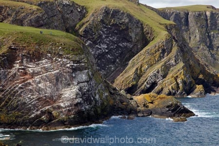 Berwickshire;bluff;bluffs;Britain;British-Isles;clay;cliff;cliffs;coast;coastal;coastline;coastlines;coasts;crumple;eroded;erosion;Europe;folded-rock;folded-rocks;folded-strata;folding;foreshore;formation;formations;G.B.;GB;geological;Geological-formation;Geological-formations;geological-landform;geology;Great-Britain;layer;layering;layers;National-Nature-Reserve;natural;natural-landscape;natural-landscapes;ocean;Pettico-Wick;rock;rock-formation;rock-formations;rocks;Saint-Abbs-Head;Saint-Abbs;Saint-Abbs-Head;Scotland;Scottish-Borders;sea;sea-stack;sea-stacks;sedimentary-layer;sedimentary-layers;sedimentary-rock;sedimentary-rock-layer;sedimentary-rock-layers;sedimentary-rocks;shore;shoreline;shorelines;shores;Silurian-rocks;St-Abbs-Head;St-Abbs;St-Abbs-Head;St.-Abbs-Head;St.-Abbs;St.-Abbs-Head;steep;stone;strata;stratum;synclinal-fold;tilted-rock-layers;U.K.;UK;United-Kingdom;unusual-natural-feature;unusual-natural-features;water