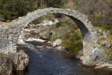 1717;Britain;British-Isles;Carr-Bridge;Carr_bridge;Carrbridge;Dulnain-River;G.B.;GB;Great-Britain;heritage;historic;historic-bridge;historic-bridges;historic-place;historic-places;historic-site;historic-sites;historical;historical-bridge;historical-bridges;historical-place;historical-places;historical-site;historical-sites;history;old;old-packhorse-bridge;oldest-stone-bridge;river;River-Dulnain;rivers;Scotland;Scottish-Highlands;stone-bridge;stone-bridges;tradition;traditional;U.K.;UK;United-Kingdom;United-Kingdon