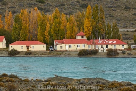 Argentina;Argentine-Patagonia;Argentine-Republic;autuminal;autumn;autumn-colour;autumn-colours;autumnal;cafe;cafes;color;colors;colour;colours;deciduous;fall;gold;golden;hotel;Hotel-de-Campo-La-Leona;Hotel-La-Leona;hotels;La-Leona;La-Leona-Hotel;La-Leona-River;La-Leona-Roadhouse;Latin-America;leaf;leaves;National-Route-40;Parador-La-Leona;Patagonia;Patagonian;poplar;poplar-tree;poplar-trees;poplars;restaurant;restaurants;Rio-La-Leona;Route-40;Route-Forty;Ruta-40;Ruta-Nacional-40;Santa-Cruz-Province;season;seasonal;seasons;South-America;South-Argentina;Southern-Argentina;Sth-America;travel;tree;trees;yellow