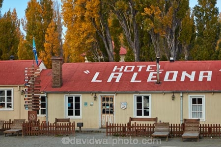 Argentina;Argentine-Patagonia;Argentine-Republic;autuminal;autumn;autumn-colour;autumn-colours;autumnal;cafe;cafes;color;colors;colour;colours;deciduous;fall;gold;golden;hotel;Hotel-de-Campo-La-Leona;Hotel-La-Leona;hotels;La-Leona;La-Leona-Hotel;La-Leona-Roadhouse;Latin-America;leaf;leaves;National-Route-40;Parador-La-Leona;Patagonia;Patagonian;poplar;poplar-tree;poplar-trees;poplars;restaurant;restaurants;Route-40;Route-Forty;Ruta-40;Ruta-Nacional-40;Santa-Cruz-Province;season;seasonal;seasons;South-America;South-Argentina;Southern-Argentina;Sth-America;travel;tree;trees;yellow