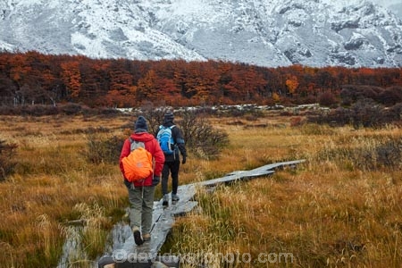 Argentina;Argentine-Patagonia;Argentine-Republic;autuminal;autumn;autumn-colour;autumn-colours;autumnal;beech;beech-tree;beech-trees;beeches;boardwalk;boardwalks;cold;color;colors;colour;colours;deciduous;El-Chalten;fall;Glacier-National-Park;gold;golden;hiker;hikers;hiking;hiking-path;hiking-paths;hiking-trail;hiking-trails;Latin-America;leaf;leaves;lenga;lenga-beech;lengas;Los-Glaciares;Los-Glaciares-N.P.;Los-Glaciares-National-Park;Los-Glaciares-NP;M.R.;model-release;model-released;mountain;mountains;MR;national-park;national-parks;Northofagus;Northofagus-pumilio;NP;park;parks;Parque-Nacional-Los-Glaciares;Patagonia;Patagonian;path;paths;pathway;pathways;people;person;route;routes;Santa-Cruz-Province;season;seasonal;seasons;snow;snowy;South-America;South-Argentina;Southern-Argentina;southern-beech;southern-beeches;Sth-America;track;tracks;trail;trails;tramper;trampers;tramping;tramping-trail;tramping-trails;tree;trees;trekker;trekkers;trekking;UN-world-heritage-area;UN-world-heritage-site;UNESCO-World-Heritage-area;UNESCO-World-Heritage-Site;united-nations-world-heritage-area;united-nations-world-heritage-site;walker;walkers;walking;walking-path;walking-paths;walking-trail;walking-trails;walkway;walkways;world-heritage;world-heritage-area;world-heritage-areas;World-Heritage-Park;World-Heritage-site;World-Heritage-Sites;yellow