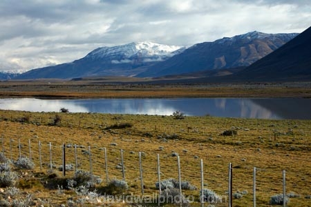 agricultural;agriculture;Argentina;Argentine-Patagonia;Argentine-Republic;country;countryside;El-Chalten;farm;farming;farmland;farms;fence;fenceline;fencelines;fences;field;fields;lake;lakes;Latin-America;meadow;meadows;paddock;paddocks;pasture;pastures;Patagonia;Patagonian;Patagonian-steppe;rural;Santa-Cruz-Province;South-America;South-Argentina;Southern-Argentina;Sth-America