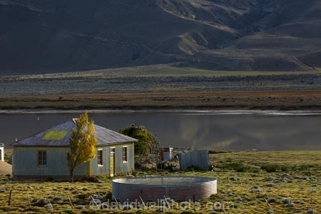 agricultural;agriculture;Argentina;Argentine-Patagonia;Argentine-Republic;autuminal;autumn;autumn-colour;autumn-colours;autumnal;color;colors;colour;colours;corrugated-building;corrugated-iron;corrugated-metal;corrugated-steel;country;countryside;deciduous;fall;farm;farmhouse;farmhouses;farming;farmland;farms;field;fields;gold;golden;house;house-houses;houses;lake;lakes;Latin-America;leaf;leaves;meadow;meadows;paddock;paddocks;pasture;pastures;Patagonia;Patagonian;Patagonian-steppe;roofing-iron;roofing-metal;rural;Santa-Cruz-Province;season;seasonal;seasons;South-America;South-Argentina;Southern-Argentina;Sth-America;tree;trees;yellow;zincalume