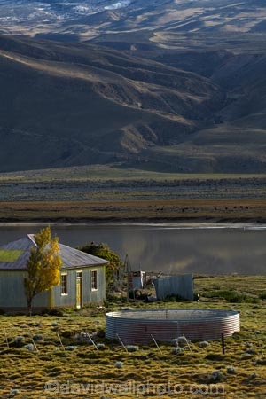 agricultural;agriculture;Argentina;Argentine-Patagonia;Argentine-Republic;autuminal;autumn;autumn-colour;autumn-colours;autumnal;color;colors;colour;colours;corrugated-building;corrugated-iron;corrugated-metal;corrugated-steel;country;countryside;deciduous;fall;farm;farmhouse;farmhouses;farming;farmland;farms;field;fields;gold;golden;house;house-houses;houses;lake;lakes;Latin-America;leaf;leaves;meadow;meadows;paddock;paddocks;pasture;pastures;Patagonia;Patagonian;Patagonian-steppe;roofing-iron;roofing-metal;rural;Santa-Cruz-Province;season;seasonal;seasons;South-America;South-Argentina;Southern-Argentina;Sth-America;tree;trees;yellow;zincalume