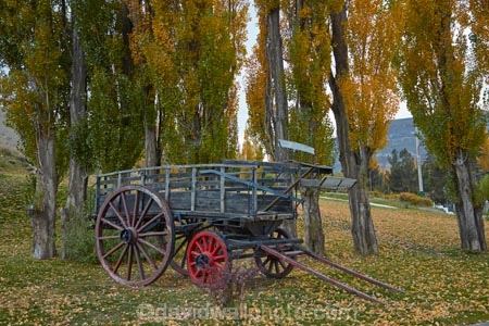 Argentina;Argentine-Patagonia;Argentine-Republic;autuminal;autumn;autumn-colour;autumn-colours;autumnal;cart;carts;color;colors;colour;colours;deciduous;El-Calafate;fall;gold;golden;Latin-America;leaf;leaves;Patagonia;Patagonian;poplar;poplar-tree;poplar-trees;poplars;Santa-Cruz-Province;season;seasonal;seasons;South-America;South-Argentina;Southern-Argentina;Sth-America;tree;trees;wagon;wagons;wooden-wagon;wooden-wagons;yellow