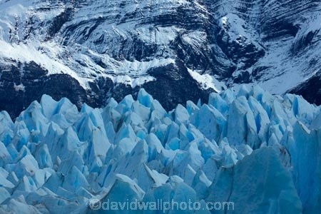 Argentina;Argentine-Patagonia;Argentine-Republic;blue-ice;cold;Glaciar-Perito-Moreno;glacier;glacier-face;Glacier-National-Park;glacier-terminal-face;glacier-terminus;glaciers;ice;icefield;icefields;icy;Latin-America;Los-Glaciares;Los-Glaciares-N.P.;Los-Glaciares-National-Park;Los-Glaciares-NP;national-park;national-parks;NP;park;parks;Parque-Nacional-Los-Glaciares;Patagonia;Patagonian;Perito-Moreno;Perito-Moreno-Glacier;Santa-Cruz-Province;South-America;South-Argentina;Southern-Argentina;Sth-America;terminal-face;terminus;travel;UN-world-heritage-area;UN-world-heritage-site;UNESCO-World-Heritage-area;UNESCO-World-Heritage-Site;united-nations-world-heritage-area;united-nations-world-heritage-site;world-heritage;world-heritage-area;world-heritage-areas;World-Heritage-Park;World-Heritage-site;World-Heritage-Sites