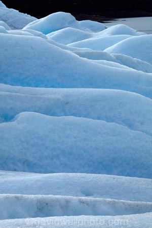 Argentina;Argentine-Patagonia;Argentine-Republic;blue-ice;cold;Glaciar-Perito-Moreno;glacier;Glacier-National-Park;glaciers;ice;icefield;icefields;icy;Latin-America;Los-Glaciares;Los-Glaciares-N.P.;Los-Glaciares-National-Park;Los-Glaciares-NP;national-park;national-parks;NP;park;parks;Parque-Nacional-Los-Glaciares;Patagonia;Patagonian;Perito-Moreno;Perito-Moreno-Glacier;Santa-Cruz-Province;South-America;South-Argentina;Southern-Argentina;Sth-America;travel;UN-world-heritage-area;UN-world-heritage-site;UNESCO-World-Heritage-area;UNESCO-World-Heritage-Site;united-nations-world-heritage-area;united-nations-world-heritage-site;world-heritage;world-heritage-area;world-heritage-areas;World-Heritage-Park;World-Heritage-site;World-Heritage-Sites
