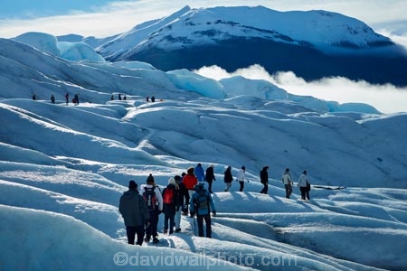 adventure-travel;Argentina;Argentine-Patagonia;Argentine-Republic;cold;Glaciar-Perito-Moreno;glacier;glacier-hiking;Glacier-National-Park;glacier-trekking;glaciers;Heilo-amp;-Aventura;Hielo-and-Aventura;hiker;hikers;ice;ice-hiking;ice-trekking;icefield;icefields;icy;Latin-America;Los-Glaciares;Los-Glaciares-N.P.;Los-Glaciares-National-Park;Los-Glaciares-NP;national-park;national-parks;NP;park;parks;Parque-Nacional-Los-Glaciares;Patagonia;Patagonian;people;Perito-Moreno;Perito-Moreno-Glacier;person;Santa-Cruz-Province;South-America;South-Argentina;Southern-Argentina;Sth-America;tourism;tourist;tourists;travel;trekker;trekkers;UN-world-heritage-area;UN-world-heritage-site;UNESCO-World-Heritage-area;UNESCO-World-Heritage-Site;united-nations-world-heritage-area;united-nations-world-heritage-site;walker;walkers;world-heritage;world-heritage-area;world-heritage-areas;World-Heritage-Park;World-Heritage-site;World-Heritage-Sites