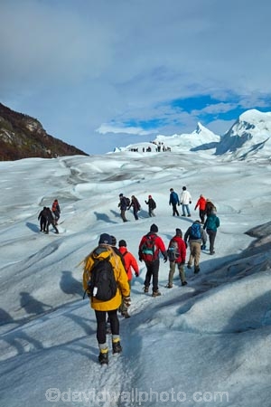 adventure-travel;Argentina;Argentine-Patagonia;Argentine-Republic;cold;Glaciar-Perito-Moreno;glacier;glacier-hiking;Glacier-National-Park;glacier-trekking;glaciers;Heilo-amp;-Aventura;Hielo-and-Aventura;hiker;hikers;ice;ice-hiking;ice-trekking;icefield;icefields;icy;Latin-America;Los-Glaciares;Los-Glaciares-N.P.;Los-Glaciares-National-Park;Los-Glaciares-NP;national-park;national-parks;NP;park;parks;Parque-Nacional-Los-Glaciares;Patagonia;Patagonian;people;Perito-Moreno;Perito-Moreno-Glacier;person;Santa-Cruz-Province;South-America;South-Argentina;Southern-Argentina;Sth-America;tourism;tourist;tourists;travel;trekker;trekkers;UN-world-heritage-area;UN-world-heritage-site;UNESCO-World-Heritage-area;UNESCO-World-Heritage-Site;united-nations-world-heritage-area;united-nations-world-heritage-site;walker;walkers;world-heritage;world-heritage-area;world-heritage-areas;World-Heritage-Park;World-Heritage-site;World-Heritage-Sites