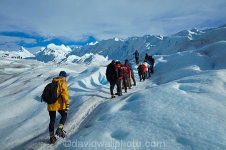 adventure-travel;Argentina;Argentine-Patagonia;Argentine-Republic;cold;Glaciar-Perito-Moreno;glacier;glacier-hiking;Glacier-National-Park;glacier-trekking;glaciers;Heilo-amp;-Aventura;Hielo-and-Aventura;hiker;hikers;ice;ice-hiking;ice-trekking;icefield;icefields;icy;Latin-America;Los-Glaciares;Los-Glaciares-N.P.;Los-Glaciares-National-Park;Los-Glaciares-NP;national-park;national-parks;NP;park;parks;Parque-Nacional-Los-Glaciares;Patagonia;Patagonian;people;Perito-Moreno;Perito-Moreno-Glacier;person;Santa-Cruz-Province;South-America;South-Argentina;Southern-Argentina;Sth-America;tourism;tourist;tourists;travel;trekker;trekkers;UN-world-heritage-area;UN-world-heritage-site;UNESCO-World-Heritage-area;UNESCO-World-Heritage-Site;united-nations-world-heritage-area;united-nations-world-heritage-site;walker;walkers;world-heritage;world-heritage-area;world-heritage-areas;World-Heritage-Park;World-Heritage-site;World-Heritage-Sites