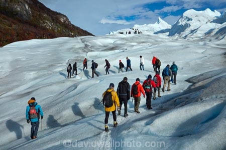 adventure-travel;Argentina;Argentine-Patagonia;Argentine-Republic;cold;Glaciar-Perito-Moreno;glacier;glacier-hiking;Glacier-National-Park;glacier-trekking;glaciers;Heilo-amp;-Aventura;Hielo-and-Aventura;hiker;hikers;ice;ice-hiking;ice-trekking;icefield;icefields;icy;Latin-America;Los-Glaciares;Los-Glaciares-N.P.;Los-Glaciares-National-Park;Los-Glaciares-NP;national-park;national-parks;NP;park;parks;Parque-Nacional-Los-Glaciares;Patagonia;Patagonian;people;Perito-Moreno;Perito-Moreno-Glacier;person;Santa-Cruz-Province;South-America;South-Argentina;Southern-Argentina;Sth-America;tourism;tourist;tourists;travel;trekker;trekkers;UN-world-heritage-area;UN-world-heritage-site;UNESCO-World-Heritage-area;UNESCO-World-Heritage-Site;united-nations-world-heritage-area;united-nations-world-heritage-site;walker;walkers;world-heritage;world-heritage-area;world-heritage-areas;World-Heritage-Park;World-Heritage-site;World-Heritage-Sites