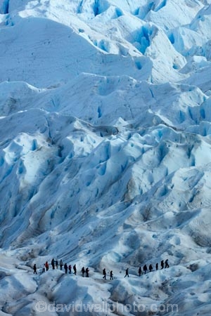 adventure-travel;Argentina;Argentine-Patagonia;Argentine-Republic;blue-ice;cold;crevasse;crevasses;Glaciar-Perito-Moreno;glacier;glacier-hiking;Glacier-National-Park;glacier-trekking;glaciers;Heilo-amp;-Aventura;Hielo-and-Aventura;hiker;hikers;ice;ice-hiking;ice-trekking;icefield;icefields;icy;Latin-America;Los-Glaciares;Los-Glaciares-N.P.;Los-Glaciares-National-Park;Los-Glaciares-NP;national-park;national-parks;NP;park;parks;Parque-Nacional-Los-Glaciares;Patagonia;Patagonian;people;Perito-Moreno;Perito-Moreno-Glacier;person;Santa-Cruz-Province;South-America;South-Argentina;Southern-Argentina;Sth-America;tourism;tourist;tourists;travel;trekker;trekkers;UN-world-heritage-area;UN-world-heritage-site;UNESCO-World-Heritage-area;UNESCO-World-Heritage-Site;united-nations-world-heritage-area;united-nations-world-heritage-site;walker;walkers;world-heritage;world-heritage-area;world-heritage-areas;World-Heritage-Park;World-Heritage-site;World-Heritage-Sites