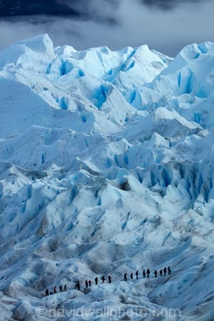 adventure-travel;Argentina;Argentine-Patagonia;Argentine-Republic;cold;crevasse;crevasses;Glaciar-Perito-Moreno;glacier;glacier-hiking;Glacier-National-Park;glacier-trekking;glaciers;Heilo-amp;-Aventura;Hielo-and-Aventura;hiker;hikers;ice;ice-hiking;ice-trekking;icefield;icefields;icy;Latin-America;Los-Glaciares;Los-Glaciares-N.P.;Los-Glaciares-National-Park;Los-Glaciares-NP;national-park;national-parks;NP;park;parks;Parque-Nacional-Los-Glaciares;Patagonia;Patagonian;people;Perito-Moreno;Perito-Moreno-Glacier;person;Santa-Cruz-Province;South-America;South-Argentina;Southern-Argentina;Sth-America;tourism;tourist;tourists;travel;trekker;trekkers;UN-world-heritage-area;UN-world-heritage-site;UNESCO-World-Heritage-area;UNESCO-World-Heritage-Site;united-nations-world-heritage-area;united-nations-world-heritage-site;walker;walkers;world-heritage;world-heritage-area;world-heritage-areas;World-Heritage-Park;World-Heritage-site;World-Heritage-Sites