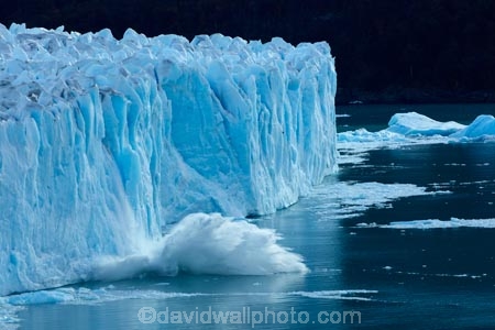 Argentina;Argentine-Patagonia;Argentine-Republic;Argentino-Lake;blue-ice;break;breaking;calving;Canal-de-los-Tempanos;cold;crash;glacial-calving;Glaciar-Perito-Moreno;glacier;glacier-face;Glacier-National-Park;glacier-terminal-face;glacier-terminus;glaciers;ice;iceberg;Iceberg-Channel;icebergs;icefield;icefields;icy;Lago-Argentino;Latin-America;Los-Glaciares;Los-Glaciares-N.P.;Los-Glaciares-National-Park;Los-Glaciares-NP;national-park;national-parks;NP;park;parks;Parque-Nacional-Los-Glaciares;Patagonia;Patagonian;Peninsula-Magellanes;Perito-Moreno;Perito-Moreno-Glacier;Santa-Cruz-Province;South-America;South-Argentina;Southern-Argentina;splash;splashing;Sth-America;terminal-face;terminus;travel;UN-world-heritage-area;UN-world-heritage-site;UNESCO-World-Heritage-area;UNESCO-World-Heritage-Site;united-nations-world-heritage-area;united-nations-world-heritage-site;world-heritage;world-heritage-area;world-heritage-areas;World-Heritage-Park;World-Heritage-site;World-Heritage-Sites