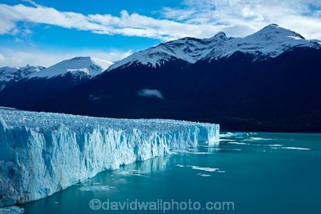 Argentina;Argentine-Patagonia;Argentine-Republic;Argentino-Lake;blue-ice;Canal-de-los-Tempanos;cold;Glaciar-Perito-Moreno;glacier;glacier-face;Glacier-National-Park;glacier-terminal-face;glacier-terminus;glaciers;ice;Iceberg-Channel;icefield;icefields;icy;Lago-Argentino;Latin-America;Los-Glaciares;Los-Glaciares-N.P.;Los-Glaciares-National-Park;Los-Glaciares-NP;national-park;national-parks;NP;park;parks;Parque-Nacional-Los-Glaciares;Patagonia;Patagonian;Peninsula-Magellanes;Perito-Moreno;Perito-Moreno-Glacier;Santa-Cruz-Province;South-America;South-Argentina;Southern-Argentina;Sth-America;terminal-face;terminus;travel;UN-world-heritage-area;UN-world-heritage-site;UNESCO-World-Heritage-area;UNESCO-World-Heritage-Site;united-nations-world-heritage-area;united-nations-world-heritage-site;world-heritage;world-heritage-area;world-heritage-areas;World-Heritage-Park;World-Heritage-site;World-Heritage-Sites