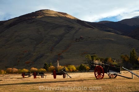 agricultural;agriculture;Argentina;Argentine-Patagonia;Argentine-Republic;autuminal;autumn;autumn-colour;autumn-colours;autumnal;cart;carts;color;colors;colour;colours;country;countryside;deciduous;El-Calafate;fall;farm;farming;farmland;farms;field;fields;gold;golden;historic;historical;Latin-America;leaf;leaves;meadow;meadows;old-wagon;paddock;paddocks;pasture;pastures;Patagonia;Patagonian;rural;Santa-Cruz-Province;season;seasonal;seasons;South-America;South-Argentina;Southern-Argentina;Sth-America;tree;trees;wagon;wagons;yellow