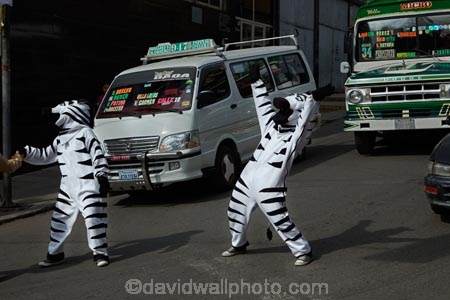 Bolivia;capital;Capital-of-Bolivia;Chuqi-Yapu;crossing-zebra;crossing-zebras;crosswalk;crosswalks;La-Paz;Latin-America;Nuestra-SeÃ±ora-de-La-Paz;pedestrian-crossing;pedestrian-crossings;safety;South-America;Sth-America;The-Americas;traffic-safety;Traffic-zebra;Traffic-zebras;zebra;zebra-costume;zebra-costumes;Zebra-crossing;zebra-crossings;zebra-urban-educators;zebra-urban-educators-of-La-Paz;zebras