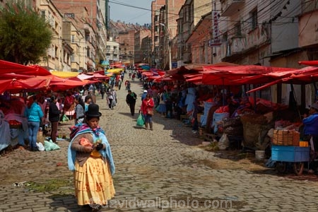 Aymara;Bolivia;Bolivian;Bolivians;capital;Capital-of-Bolivia;Cholita;cholita-pacenas;Cholitas;Chuqi-Yapu;cities;city;cobble-stone-streets;cobble_stoned;cobblestone;cobblestoned;cobblestones;colorful;colour;colourful;commerce;commercial;crowd;crowded;farmer-market;farmer-markets;farmers-market;farmers-markets;farmers-market;farmers-markets;female;food;food-market;food-markets;food-stall;food-stalls;fruit-market;fruit-markets;indigenous;La-Paz;Latin-America;market;market-day;market-days;market-place;market_place;marketplace;markets;Mercardo-Rodriguez;Nuestra-Señora-de-La-Paz;pedestrians;people;person;produce;produce-market;produce-markets;product;products;retail;retailer;retailers;Rodriguez-Market;shop;shopper;shoppers;shopping;shops;South-America;stall;stalls;steet-scene;Sth-America;street-scenes;The-Americas;woman;women