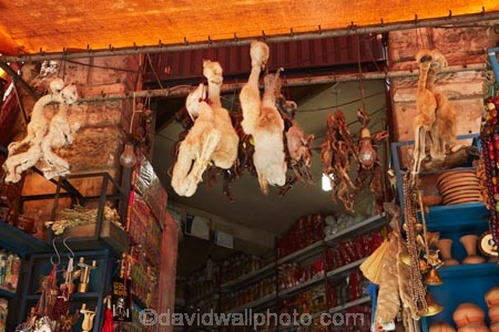 Bolivia;capital;Capital-of-Bolivia;Chuqi-Yapu;dead-llama-babies;dead-llama-baby;dried-Llama-fetus;dried-Llama-fetuses;El-Mercardo-de-las-Brujas;foetus;foetuses;La-Hechiceria;La-Paz;Lama;Latin-America;Llama;llama-babies;llama-baby;Llama-fetus;Llama-fetuses;Mercardo-de-las-Brujas;Nuestra-SeÃ±ora-de-La-Paz;South-America;Sth-America;The-Americas;The-Witches-Market;Witches-Market;Witches-Market