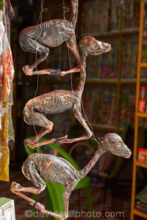Bolivia;capital;Capital-of-Bolivia;Chuqi-Yapu;dried-Llama-fetus;dried-Llama-fetuses;El-Mercardo-de-las-Brujas;foetus;foetuses;La-Hechiceria;La-Paz;Lama;Latin-America;Llama;Llama-fetus;Llama-fetuses;Mercardo-de-las-Brujas;Nuestra-SeÃ±ora-de-La-Paz;South-America;Sth-America;The-Americas;The-Witches-Market;Witches-Market;Witches-Market