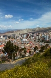 accommodation;apartment;apartments;Bolivia;capital;Capital-of-Bolivia;Chuqi-Yapu;cities;city;cityscape;cityscapes;condo;condominium;condominiums;condos;flower;flowers;high-density-housing;house;houses;housing;Killi-Killi-Lookout;Killi-Killi-Viewpoint;La-Paz;Latin-America;lookout;lookouts;Mirador-Killi-Killi;Nuestra-Señora-de-La-Paz;residence;residences;Sopocachi;Sopocachi-District;South-America;Sth-America;The-Americas;view;viewpoint;viewpoints;views;yellow;yellow-flower;yellow-flowers