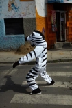 Bolivia;capital;Capital-of-Bolivia;Chuqi-Yapu;crossing-zebra;crossing-zebras;crosswalk;crosswalks;La-Paz;Latin-America;Nuestra-Señora-de-La-Paz;pedestrian-crossing;pedestrian-crossings;safety;South-America;Sth-America;The-Americas;traffic-safety;Traffic-zebra;Traffic-zebras;zebra;zebra-costume;zebra-costumes;Zebra-crossing;zebra-crossings;zebra-urban-educators;zebra-urban-educators-of-La-Paz;zebras