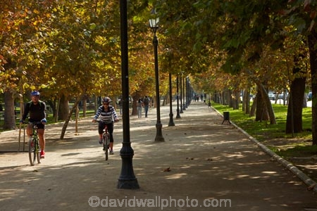 autuminal;autumn;autumn-colour;autumn-colours;autumnal;bicycle;bicycles;bike;bike-track;bike-tracks;bike-trail;bike-trails;bikes;capital-cities;capital-city;Capital-of-Chile;Chile;color;colors;colour;colours;cycle;cycle-track;cycle-tracks;cycle-trail;cycle-trails;cycler;cyclers;cycles;cycleway;cycleways;cyclist;cyclists;deciduous;excercise;excercising;fall;footpath;footpaths;gold;golden;lamp-post;lamp-posts;lamps;Latin-America;leaf;leaves;park;parks;Parque-Forestal;path;paths;pathway;pathways;people;person;push-bike;push-bikes;push_bike;push_bikes;pushbike;pushbikes;Santiago;Santiago-de-Chile;season;seasonal;seasons;South-America;Sth-America;The-Americas;tree;trees;yellow