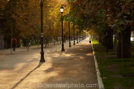 autuminal;autumn;autumn-colour;autumn-colours;autumnal;bike-track;bike-tracks;bike-trail;bike-trails;capital-cities;capital-city;Capital-of-Chile;Chile;color;colors;colour;colours;cycle-track;cycle-tracks;cycle-trail;cycle-trails;cycleway;cycleways;deciduous;excercise;excercising;fall;footpath;footpaths;gold;golden;lamp-post;lamp-posts;lamps;Latin-America;leaf;leaves;park;parks;Parque-Forestal;path;paths;pathway;pathways;people;Santiago;Santiago-de-Chile;season;seasonal;seasons;South-America;Sth-America;The-Americas;tree;trees;yellow