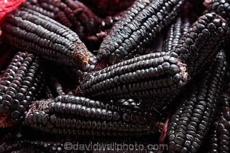 black-corn;black-incan-corn;black-maize;Central-Market;cob;cobs;commerce;commercial;Cusco;Cuzco;farmer-market;farmer-markets;farmers-market;farmers-markets;farmers-market;farmers-markets;food;food-market;food-markets;food-stall;food-stalls;Kculli-corn;Kculli-Strains;Kulli-corn;Latin-America;market;market-day;market-days;market-place;market_place;marketplace;markets;Mercardo-Central;Mercardo-Central-de-San-Pedro;Peru;produce;produce-market;produce-markets;product;products;purple-corn;Republic-of-Peru;retail;retailer;retailers;San-Pedro;San-Pedro-Food-Market;San-Pedro-Market;San-Pedro-Produce-Market;shop;shopping;shops;South-America;stall;stalls;steet-scene;Sth-America;street-scenes