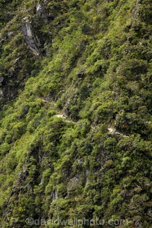 Camino-Inca;Camino-Inka;Classic-Inca-Trail;Cusco-Region;hiking-track;hiking-tracks;hiking-trail;hiking-trails;Inca-Path;Inca-Trail;Inca-trek;Latin-America;Machupicchu-District;Peru;Republic-of-Peru;Sacred-Valley;Sacred-Valley-of-the-Incas;South-America;steep;steep-hillside;steep-hillsides;Sth-America;trekking;Urubamba-Province;waking-track;waking-tracks;walking-trail;walking-trails