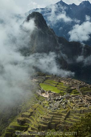 agricultural-terraces;ancient;ancient-culture;archaeology;attraction;building;buildings;Camino-Inca;Camino-Inka;cloud;clouds;cloudy;crop-terraces;cultivation-terraces;Cusco-Region;destination;fog;foggy;fogs;growing-terraces;heritage;historic;historic-building;historic-buildings;historical;historical-building;historical-buildings;history;horticultural-terraces;Huayna-Picchu;Huayna-Picchu-Peak;Inca;Inca-Citadel;Inca-City;Inca-Ruins;Inca-Trail;Inka;Latin-America;lost-city;Machu-Picchu;Machu-Pichu;Machupicchu-District;mist;mists;misty;mountain;mountains;mysterious;mystical;old;Peru;rain;raining;rainy;Republic-of-Peru;retaining-wall;retaining-walls;ruin;ruins;Sacred-Valley;Sacred-Valley-of-the-Incas;seven-wonders;seven-wonders-of-the-world;South-America;Sth-America;terrace;terraced;terraces;terracing;tourism;tourist-attraction;tourist-site;tourist-sites;tradition;traditional;travel;UN-world-heritage-area;UN-world-heritage-site;UNESCO-World-Heritage-area;UNESCO-World-Heritage-Site;united-nations-world-heritage-area;united-nations-world-heritage-site;Urubamba-Province;Urubamba-Valley;wet;wonders-of-the-world;world-heritage;world-heritage-area;world-heritage-areas;World-Heritage-Park;World-Heritage-site;World-Heritage-Sites