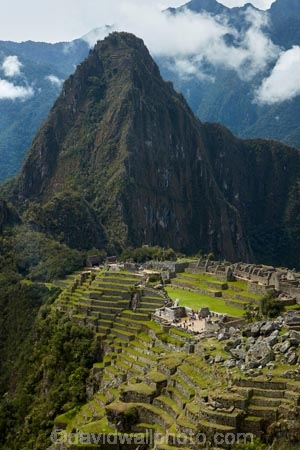 agricultural-terraces;ancient;ancient-culture;archaeology;attraction;building;buildings;Camino-Inca;Camino-Inka;crop-terraces;cultivation-terraces;Cusco-Region;destination;growing-terraces;heritage;historic;historic-building;historic-buildings;historical;historical-building;historical-buildings;history;horticultural-terraces;Huayna-Picchu;Huayna-Picchu-Peak;Inca;Inca-Citadel;Inca-City;Inca-Ruins;Inca-Trail;Inka;Latin-America;lost-city;Machu-Picchu;Machu-Pichu;Machupicchu-District;old;Peru;Republic-of-Peru;retaining-wall;retaining-walls;ruin;ruins;Sacred-Valley;Sacred-Valley-of-the-Incas;seven-wonders;seven-wonders-of-the-world;South-America;Sth-America;terrace;terraced;terraces;terracing;tourism;tourist-attraction;tradition;traditional;travel;UN-world-heritage-area;UN-world-heritage-site;UNESCO-World-Heritage-area;UNESCO-World-Heritage-Site;united-nations-world-heritage-area;united-nations-world-heritage-site;Urubamba-Province;Urubamba-Valley;wonders-of-the-world;world-heritage;world-heritage-area;world-heritage-areas;World-Heritage-Park;World-Heritage-site;World-Heritage-Sites
