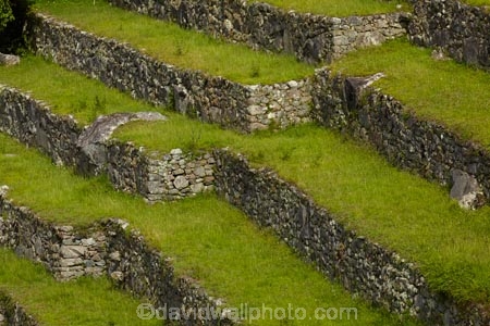 agricultural-terraces;ancient;ancient-culture;archaeology;attraction;building;buildings;Camino-Inca;Camino-Inka;central-terraces;crop-terraces;cultivation-terraces;Cusco-Region;destination;geometric;growing-terraces;heritage;historic;historic-building;historic-buildings;historical;historical-building;historical-buildings;history;horticultural-terraces;Inca;Inca-Citadel;Inca-City;Inca-Ruins;Inca-Trail;Inka;Latin-America;lost-city;Lower-agricultural-sector;Machu-Picchu;Machu-Pichu;Machupicchu-District;old;pattern;patterns;Peru;Republic-of-Peru;retaining-wall;retaining-walls;ruin;ruins;Sacred-Valley;Sacred-Valley-of-the-Incas;South-America;stepped;Sth-America;terrace;terraced;terraces;terracing;tourist-attraction;tourist-site;tourist-sites;tradition;traditional;UN-world-heritage-area;UN-world-heritage-site;UNESCO-World-Heritage-area;UNESCO-World-Heritage-Site;united-nations-world-heritage-area;united-nations-world-heritage-site;Urubamba-Province;Urubamba-Valley;world-heritage;world-heritage-area;world-heritage-areas;World-Heritage-Park;World-Heritage-site;World-Heritage-Sites