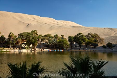 desert;deserts;dune;dunes;Huacachina;Huacachina-Desert;Huacachina-Lagoon;Huacachina-Lake;Huacachina-Oasis;Ica;Ica-Desert;Ica-Region;lagoon;lagoons;Laguna-de-Huacachina;Laguna-Huacachina;lake;Lake-Huacachina;lakes;Latin-America;oasis;palm-trees;Peru;Peruvian-Desert;Republic-of-Peru;sand;sand-dune;sand-dunes;sand-hill;sand-hills;sand_dune;sand_dunes;sand_hill;sand_hills;sanddune;sanddunes;sandhill;sandhills;sandy;South-America;Sth-America;tourism;travel