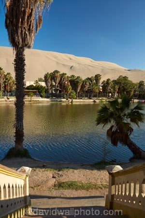 desert;deserts;dune;dunes;Huacachina;Huacachina-Desert;Huacachina-Lagoon;Huacachina-Lake;Huacachina-Oasis;Ica;Ica-Desert;Ica-Region;lagoon;lagoons;Laguna-de-Huacachina;Laguna-Huacachina;lake;Lake-Huacachina;lakes;Latin-America;oasis;palm-trees;Peru;Peruvian-Desert;Republic-of-Peru;sand;sand-dune;sand-dunes;sand-hill;sand-hills;sand_dune;sand_dunes;sand_hill;sand_hills;sanddune;sanddunes;sandhill;sandhills;sandy;South-America;stairs;Sth-America;tourism;travel