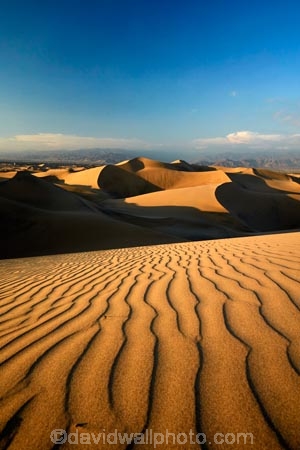 arid;desert;deserts;dune;dunes;Huacachina;Huacachina-Desert;Ica;Ica-Desert;Ica-Region;Latin-America;Peru;Peruvian-Desert;Republic-of-Peru;ripple;rippled;ripples;sand;sand-dune;sand-dunes;sand-hill;sand-hills;sand-ripple;sand-ripples;sand_dune;sand_dunes;sand_hill;sand_hills;sanddune;sanddunes;sandhill;sandhills;sandy;South-America;Sth-America