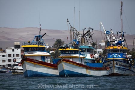 Ballestas-Islands;boat;boats;coast;coastal;coastline;coastlines;coasts;commercial-fishing-boat;commercial-fishing-boats;fishing-boat;fishing-boats;Ica-Region;Islas-Ballestas;Latin-America;moored;ocean;oceans;Pacific-Ocean;Paracas;Paracas-Disctrict;Paracas-Harbor;Paracas-Harbour;Peru;Pisco-Province;Republic-of-Peru;sea;seas;shore;shoreline;shorelines;shores;South-America;Sth-America;water