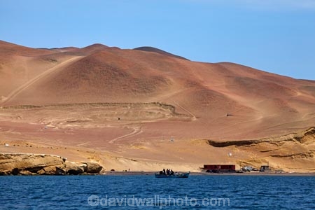 arid;Ballestas-Islands;Ballestas-Islands-Tour;desert;deserts;Ica-Region;Islas-Ballestas;Latin-America;Pacific-Ocean;Paracas;Paracas-Disctrict;Paracas-National-Reserve;Paracas-Nature-Reserve;Paracas-Peninsula;Peru;Pisco-Bay;Pisco-Province;Republic-of-Peru;Reserva-Nacional-de-Paracas;reserve;reserves;South-America;Sth-America