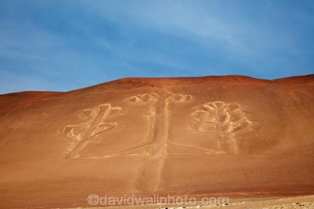 ancient;ancient-sign;ancient-signs;arid;Ballestas-Islands;Ballestas-Islands-Tour;Candelabra-Geoglyph;Candelabra-of-the-Andes;Candelabro-de-Paracas;desert;deserts;El-Candelabra;El-Candelabro;geoglyph;geoglyphs;heritage;historic;historic-place;historic-places;historical;historical-place;historical-places;history;Ica-Region;Islas-Ballestas;Latin-America;old;Paracas;Paracas-Candelabra;Paracas-Disctrict;Paracas-National-Reserve;Paracas-Nature-Reserve;Paracas-Peninsula;Peru;Pisco-Bay;Pisco-Province;prehistoric;prehistoric-geoglyph;Republic-of-Peru;Reserva-Nacional-de-Paracas;reserve;reserves;sign;signs;South-America;Sth-America;symbol;symbols;The-Candelabra;The-Chandelier;tourism;tradition;traditional;travel