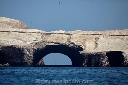 Ballestas;Ballestas-Is;Ballestas-Islands;Ballestas-Islands-archipelago;Ballestas-Islands-National-Reserve;Ballestas-Islands-Tour;cave;caves;coast;coastal;coastline;coastlines;coasts;Ica-Region;Isla-Pedra-Redonda;Islas-Ballestas;Latin-America;natural-arch;natural-arches;ocean;oceans;Pacific-Ocean;Paracas-Disctrict;Peru;Piedra-Dondra-Island;Pisco-Province;Republic-of-Peru;Reserva-National-Islas-Ballestas;reserves;rock-arch;rock-arches;rock-formation;rock-formations;sea;sea-arch;sea-arches;sea-cave;sea-caves;seas;shore;shoreline;shorelines;shores;South-America;Sth-America;water;wildlife-reserve