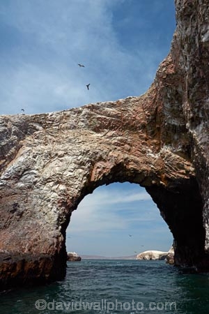 arch;arches;Ballestas;Ballestas-Is;Ballestas-Islands;Ballestas-Islands-archipelago;Ballestas-Islands-National-Reserve;Ballestas-Islands-Tour;cave;caves;coast;coastal;coastline;coastlines;coasts;Ica-Region;Islas-Ballestas;Latin-America;natural-arch;natural-arches;ocean;oceans;Pacific-Ocean;Paracas-Disctrict;Peru;Pisco-Province;Republic-of-Peru;Reserva-National-Islas-Ballestas;reserves;rock-arch;rock-arches;rock-formation;rock-formations;sea;sea-arch;sea-arches;sea-cave;sea-caves;seas;shore;shoreline;shorelines;shores;South-America;Sth-America;water;wildlife-reserve