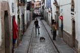 alley;alleys;alleyway;alleyways;building;buildings;cobble_stoned;cobble_stoned-street;cobbled;cobbles;cobblestoned;cobblestoned-road;cobblestoned-roads;cobblestoned-street;cobblestoned-streets;cobblestones;Cusco;Cuzco;heritage;historic;historic-building;historic-buildings;historical;historical-building;historical-buildings;history;Latin-America;narrow-street;narrow-streets;old;people;person;Peru;Peruvian;Peruvians;Procuradores;Republic-of-Peru;road;roads;South-America;Sth-America;street;streets;tourism;tourist;tourists;tradition;traditional;travel;UN-world-heritage-area;UN-world-heritage-site;UNESCO-World-Heritage-area;UNESCO-World-Heritage-Site;united-nations-world-heritage-area;united-nations-world-heritage-site;world-heritage;world-heritage-area;world-heritage-areas;World-Heritage-Park;World-Heritage-site;World-Heritage-Sites