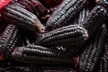 black-corn;black-incan-corn;black-maize;Central-Market;cob;cobs;commerce;commercial;Cusco;Cuzco;farmer-market;farmer-markets;farmers-market;farmers-markets;farmers-market;farmers-markets;food;food-market;food-markets;food-stall;food-stalls;Kculli-corn;Kculli-Strains;Kulli-corn;Latin-America;market;market-day;market-days;market-place;market_place;marketplace;markets;Mercardo-Central;Mercardo-Central-de-San-Pedro;Peru;produce;produce-market;produce-markets;product;products;purple-corn;Republic-of-Peru;retail;retailer;retailers;San-Pedro;San-Pedro-Food-Market;San-Pedro-Market;San-Pedro-Produce-Market;shop;shopping;shops;South-America;stall;stalls;steet-scene;Sth-America;street-scenes