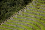 agricultural-terraces;ancient;ancient-culture;archaeology;attraction;building;buildings;Camino-Inca;Camino-Inka;Classic-Inca-Trail;crop-terraces;cultivation-terraces;Cusco-Region;destination;growing-terraces;heritage;historic;historic-building;historic-buildings;historical;historical-building;historical-buildings;history;horticultural-terraces;Inca;Inca-Citadel;Inca-City;Inca-Path;Inca-Ruins;Inca-Trail;Inca-trek;Inka;Latin-America;lost-city;Machupicchu-District;old;Peru;Republic-of-Peru;retaining-wall;retaining-walls;ruin;ruins;Sacred-Valley;Sacred-Valley-of-the-Incas;South-America;stepped;Sth-America;terrace;terraced;terraces;tourist-attraction;tradition;traditional;Urubamba;Urubamba-Province;Winay-Wayna;Winaywayna;Wiñay-Wayna