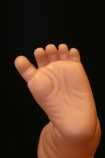 foot;feet;1-to-6-months;1_6-months;Babies;Baby;Barefeet;Barefoot;Child;Children;Colo;Colour;Contemporary;Delicate;Fragile;Fragility;Future;Growing-up;Human;Infant;Infants;Innocence;Little;Love;Newborn;Newborns;Size;Sole;Soles;closeup;close_up;close-up;closeups;close_ups;close-ups;detail;details;skin;doll;dolls;dolly;plastic;toy;toys
