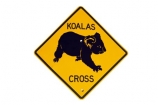australasia;Australasian;Australia;australian;Koala;Koala-Cross;Koala-Crossing;Koala-Crossing-Sign;Koala-Warning-Sign;koalas;Road;road-sign;road-signs;road_sign;road_signs;roads;roadsign;roadsigns;sign;signs;symbol;symbols;tranportation;transport;travel;warn;yellow;cutout