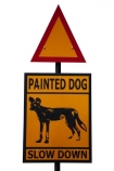 Africa;African-hunting-dog;African-hunting-dogs;African-wild-dog;African-wild-dogs;Cape-hunting-dog;Cape-hunting-dogs;Lycaon-pictus;painted-dog;painted-dog-warning-sign;painted-dog-warning-signs;painted-dogs;painted-hunting-dog;painted-hunting-dogs;painted-wolf;painted-wolfs;road-sign;road-signs;road-warning-sign;road-warning-signs;sign;signs;Southern-Africa;spotted-dog;spotted-dogs;warning-sign;warning-signs;wild-dog-warning-sign;wild-dog-warning-signs;wildlife;Zimbabwe;cutout