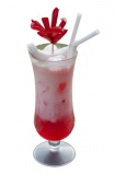 alcohol;drink;beverage;glass;drink;pina-colada;tropical;cocktail;cutout;cut;out;Shirley-Temple;mocktail