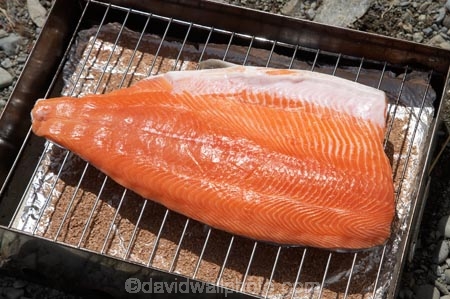 alfresco;Beach;Canterbury;cook;cooked;cooking;cuisine;culinary;Fillet;fillets;fish;fish-fillet;fish-fillets;fish-smoker;fish-smokers;food;gourmet;Lake-Ohau;Mackenzie-Country;manuka-chips;manuka-wood-chips;N.Z.;New-Zealand;NZ;picnic;pink-salmon;S.I.;Salmon;SI;smoked-fish;smoked-salmon;smoker;Smoking;smoking-fish;smoking-salmon;South-Canterbury;South-Island;wood-smoked